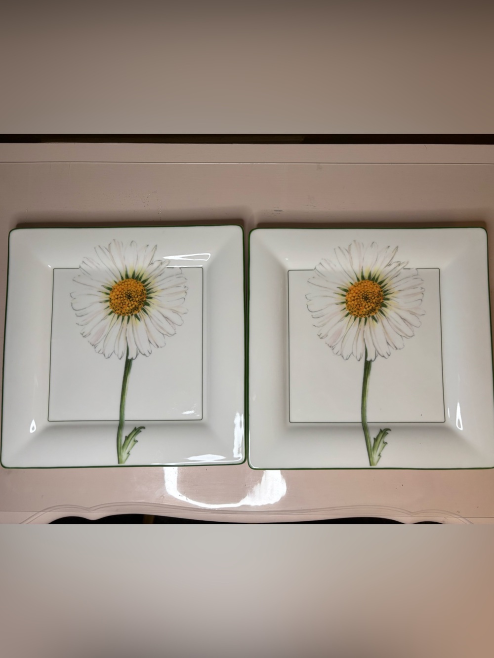 2002 Set of 2 Villeroy & Boch White Daisy Flora 10.5” Dinner Plates NWT